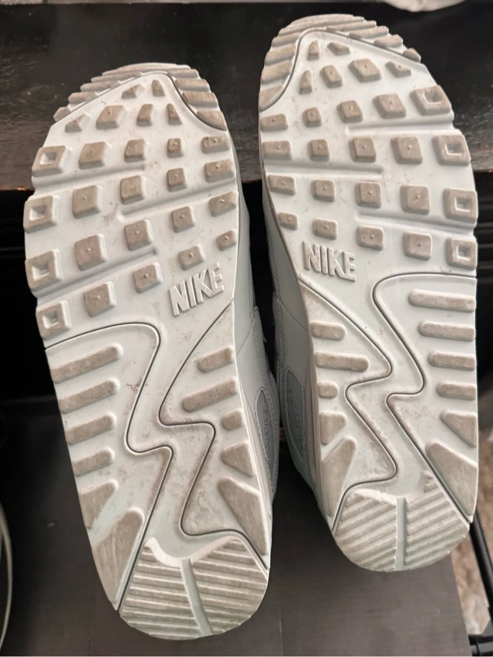 Nike Air Max 90 Sneakers in Light Grey